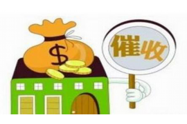 催收员：揭秘背后的守护者