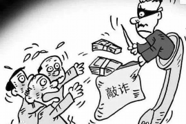 催收资质核查报告格式示例