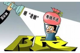 《星空借款：诸天追讨》