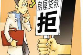 催收主体概述：深度解析催收行业主体类型及特点