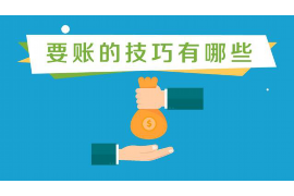 高效债务追讨服务