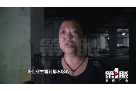 优秀催收员的关键素质与技能解析