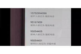 南京董二：讨债行业翘楚