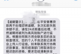 非法讨债中的财产侵占
