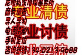 上海讨债查询，全面了解正规高效的讨债方法！