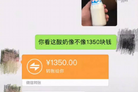 催收运营模型分析分享：从理论到实践
