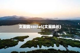 文案偏social(文案偏长)