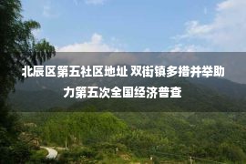 北辰区第五社区地址 双街镇多措并举助力第五次全国经济普查