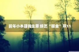 前年小本赚钱生意 综艺“掘金”双11