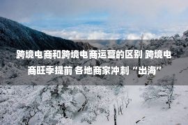 跨境电商和跨境电商运营的区别 跨境电商旺季提前 各地商家冲刺“出海”