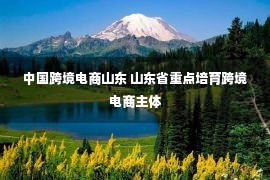 中国跨境电商山东 山东省重点培育跨境电商主体