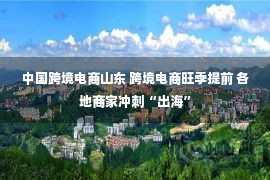 中国跨境电商山东 跨境电商旺季提前 各地商家冲刺“出海”