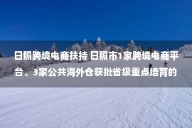 日照跨境电商扶持 日照市1家跨境电商平台、3家公共海外仓获批省级重点培育的跨境电商主体