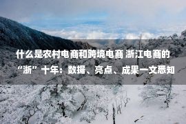 什么是农村电商和跨境电商 浙江电商的“浙”十年：数据、亮点、成果一文悉知