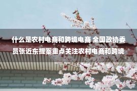 什么是农村电商和跨境电商 全国政协委员张近东提案重点关注农村电商和跨境电商发展