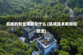 机械的创业项目是什么 (机械技术类如何创业)