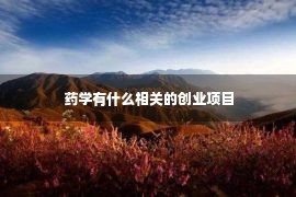 药学有什么相关的创业项目