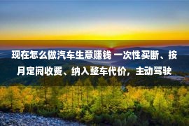 现在怎么做汽车生意赚钱 一次性买断、按月定阅收费、纳入整车代价，主动驾驶买卖怎样做才赢利？