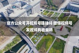 官方公众号开视频号赚钱吗 微信视频号发视频有收益吗