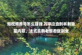 短视频养号怎么赚钱 万字泣血剖析割韭菜内幕，法式员别老想着做副业