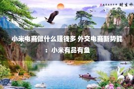 小米电商做什么赚钱多 外交电商新势能：小米有品有鱼