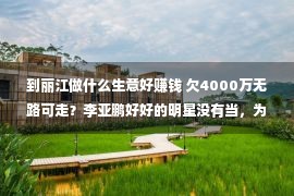 到丽江做什么生意好赚钱 欠4000万无路可走？李亚鹏好好的明星没有当，为甚么要去做买卖？