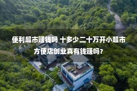 便利超市赚钱吗 十多少二十万开小超市方便店创业真有钱赚吗？