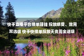 快手直播平台接单赚钱 投放感受、效用双选拔 快手快接单投放天资周全进级