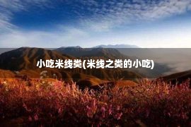 小吃米线类(米线之类的小吃)