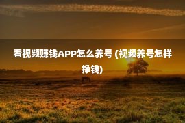 看视频赚钱APP怎么养号 (视频养号怎样挣钱)