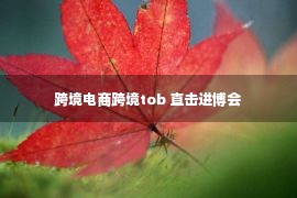 跨境电商跨境tob 直击进博会