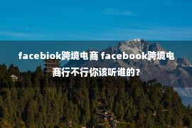 facebiok跨境电商 facebook跨境电商行不行你该听谁的？