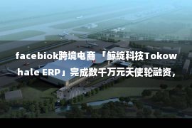 facebiok跨境电商 「鲸绽科技Tokowhale ERP」完成数千万元天使轮融资，白兔控股投资