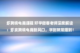 虾跨境电商课程 好学微客老师深度解读：虾皮跨境电商新风口，学到就是赚到！