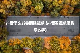 抖音怎么发卷赚钱视频 (抖音发视频赚钱怎么弄)