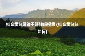 抖音卖包赚钱不赚钱吗视频 (抖音卖包包如何)