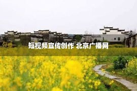 短视频宣传创作 北京广播网