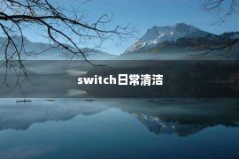 switch日常清洁