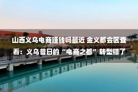 山西义乌电商赚钱吗最近 金义都会区查看：义乌昔日的“电商之都”转型错了吗？