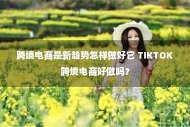 跨境电商是新趋势怎样做好它 TIKTOK跨境电商好做吗？