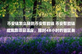 币安链怎么转到币安智能链 币安智能链成跑路项目温床，限时48小时的猫鼠赛跑，21个节点的开放金融迷局