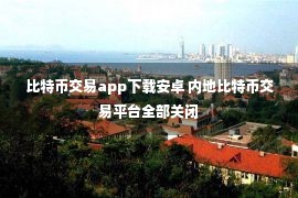 比特币交易app下载安卓 内地比特币交易平台全部关闭