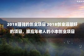 2018赚钱的创业项目 2018创业远景好的项目，顺应年老人的小本创业项目