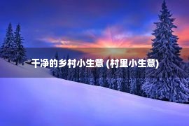 干净的乡村小生意 (村里小生意)