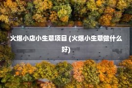 火爆小店小生意项目 (火爆小生意做什么好)