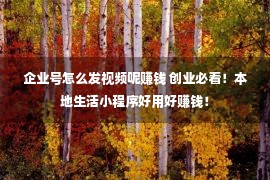 企业号怎么发视频呢赚钱 创业必看！本地生活小程序好用好赚钱！