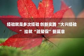 经验就是多次经验 创新实践“大兴经验” 绘就“疏整促”新篇章