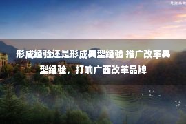 形成经验还是形成典型经验 推广改革典型经验，打响广西改革品牌