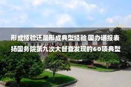 形成经验还是形成典型经验 国办通报表扬国务院第九次大督查发现的60项典型经验做法