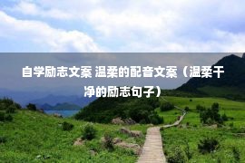 自学励志文案 温柔的配音文案（温柔干净的励志句子）